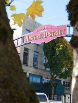 Cottage Grove community