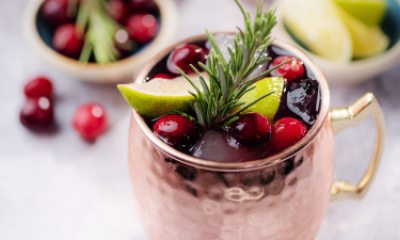 iced drink with cranberries, lime and rosemary