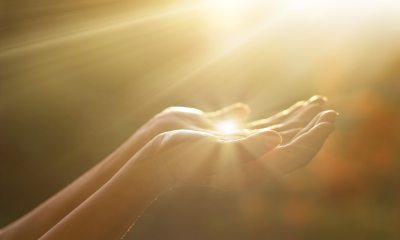 Hands in a bowl shape catching sunlight